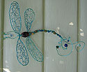 Dragonfly Jewelry